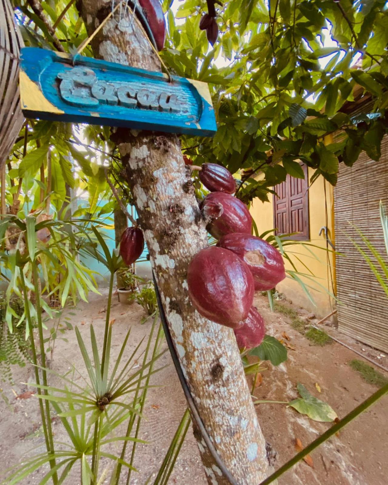 Caraiva Recanto Pousada De Ferias Экстерьер фото